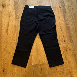 Ann Taylor Cropped Pants - Size 6P - NWT